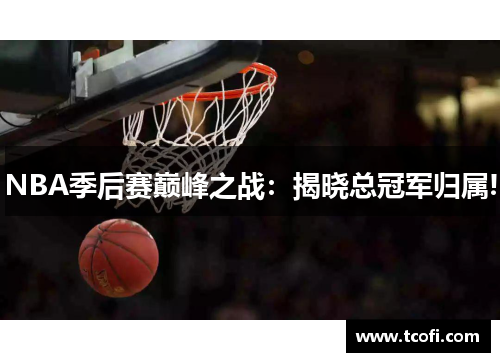 NBA季后赛巅峰之战：揭晓总冠军归属!